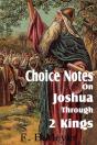 Choice Notes On Joshua Through 2 Kings - Preview