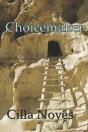 Choicemaker - Preview