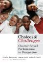 Choices And Challenges - Preview