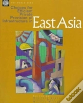 Choices For Efficient Private Provision Of Infrastructure In East Asia