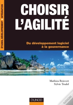 Capa do artigo Choisir L'Agilité ; Du Développement Logiciel À La Gouvernance