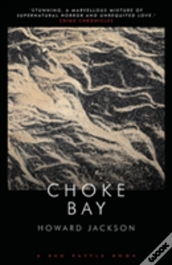 Capa do artigo Choke Bay