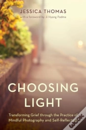 Capa do artigo Choosing Light