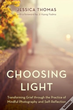Capa do artigo Choosing Light