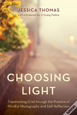 Capa do artigo Choosing Light