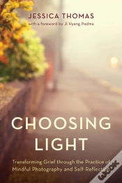 Capa do artigo Choosing Light