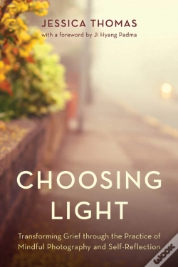Capa do artigo Choosing Light