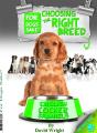 Choosing The Right Breed - English Cocker Spaniels - Preview