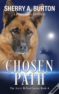 Capa do artigo Chosen Path