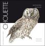 Chouette - Preview