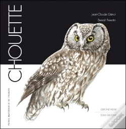 Capa do artigo Chouette
