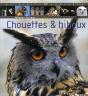 Chouettes & Hiboux - Preview