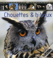 Capa do artigo Chouettes & Hiboux