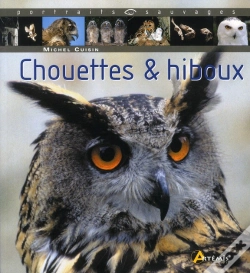 Capa do artigo Chouettes & Hiboux