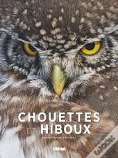 Chouettes Et Hiboux