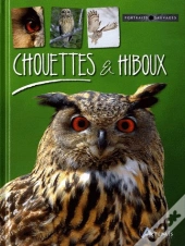 Chouettes Et Hiboux