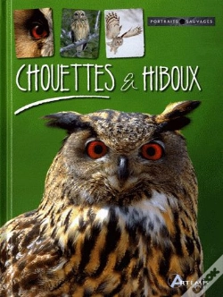 Capa do artigo Chouettes Et Hiboux