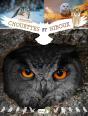 Chouettes Et Hiboux - Preview