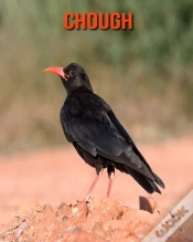 Capa do artigo Chough