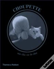 Capa do artigo Choupette