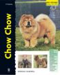Chow Chow - Preview