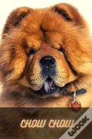 Chow Chow