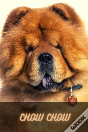 Capa do artigo Chow Chow