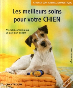 Capa do artigo Choyer Son Animal Domestique ; Les Meilleurs Soins Pour Votre Chien