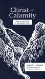Christ And Calamity - Preview