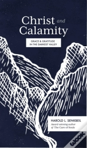 Capa do artigo Christ And Calamity