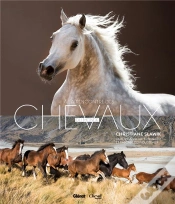 Capa do artigo Christiane Slawik, A La Rencontre Des Chevaux