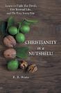 Christianity In A Nutshell! - Preview