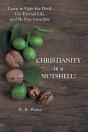 Christianity In A Nutshell!: Learn To Fi - Preview
