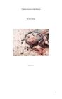 Christianity, Its Essence In A Third Millennium - Preview