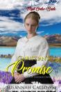 Christian'S Promise - Preview
