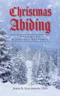 Christmas Abiding - Preview