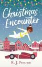 Christmas Encounter - Preview