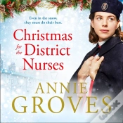 Capa do artigo Christmas For The District Nurses