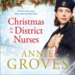 Capa do artigo Christmas For The District Nurses