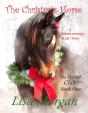 Christmas Horse - Preview