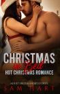 Christmas In Bed - Hot Romance - Preview