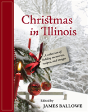 Christmas In Illinois - Preview