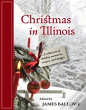Christmas In Illinois