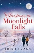 Christmas In Moonlight Falls