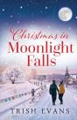 Christmas In Moonlight Falls - Preview