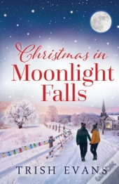 Christmas In Moonlight Falls