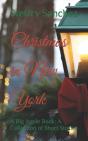 Christmas In New York - Preview