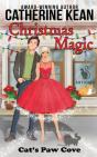 Christmas Magic - Preview