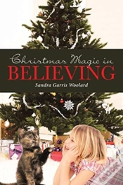 Capa do artigo Christmas Magic In Believing