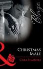Christmas Male - Preview